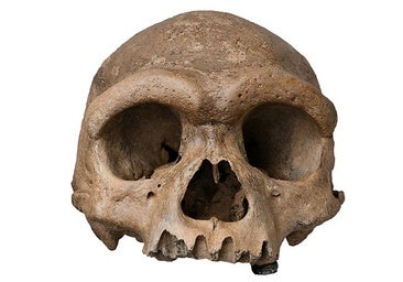 El enigmático hombre dragón chino no es una nueva especie: por fin conocemos su aspecto