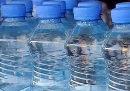 Hallan una bacteria que transforma el plástico de las botellas en paracetamol