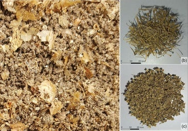 El ADN revela los ingredientes del garum, la salsa más olorosa y popular del Imperio Romano