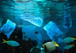 27 millones de toneladas de nanoplásticos, los más peligrosos, flotan en el Atlántico Norte