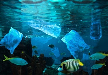 27 millones de toneladas de nanoplásticos, los más peligrosos, flotan en el Atlántico Norte