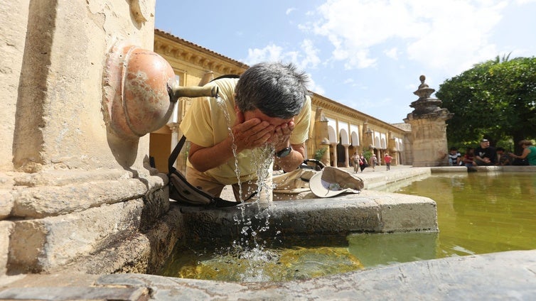 La última ola de calor mató a casi medio millar de personas en las ciudades de Madrid y Barcelona