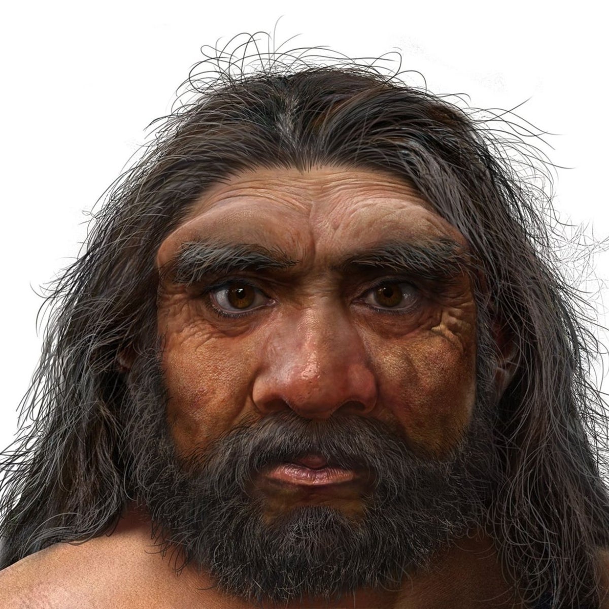 Denisovanos, los humanos más enigmáticos salen de las sombras