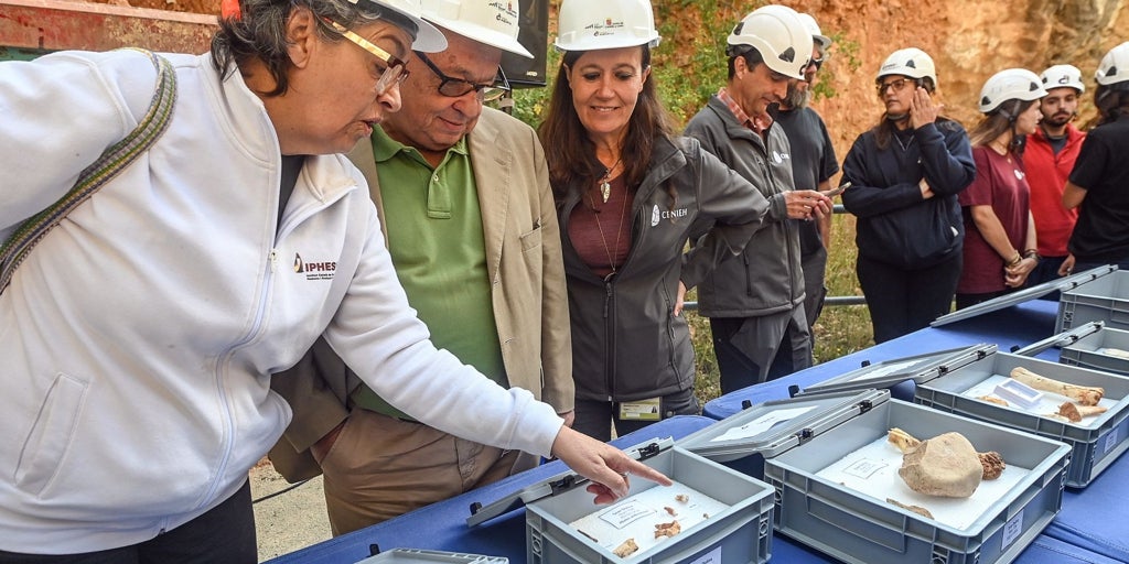 Hallan en Atapuerca nuevos restos canibalizados de Homo antecessor, entre ellos un niño de 3 años al que le cortaron la cabeza