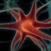 Así se actualiza nuestro mapa mental para ir del dormitorio a la cocina