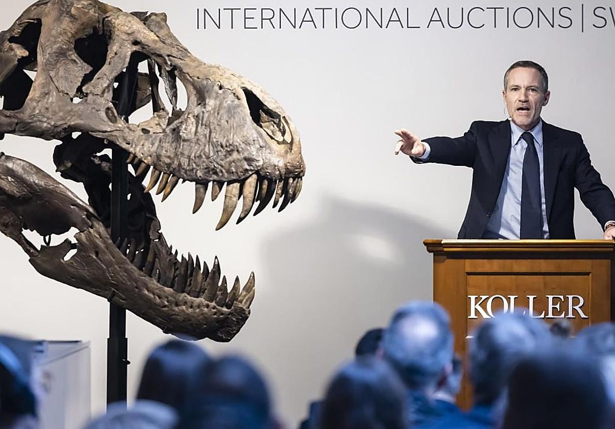 El esqueleto formado por 293 huesos (incluido el cráneo casi completo) fue vendido en la casa de subastas Koller, en Zúrich (Suiza) en 2023. Fue adquirido por la Phoebus Foundation, una entidad sin ánimo de lucro