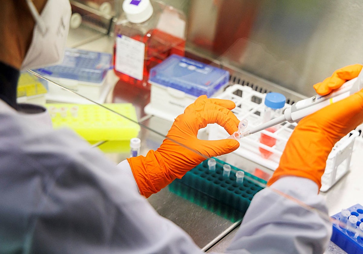 Los estudios fraudulentos crecen exponencialmente