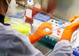 El mercado negro de la investigación: redes globales fabrican estudios científicos a medida por un puñado de euros