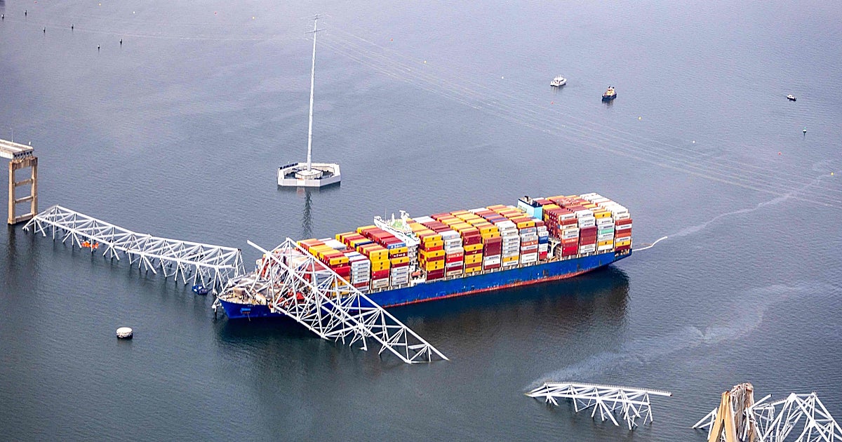 La estrategia de la telaraña que permite construir puentes a