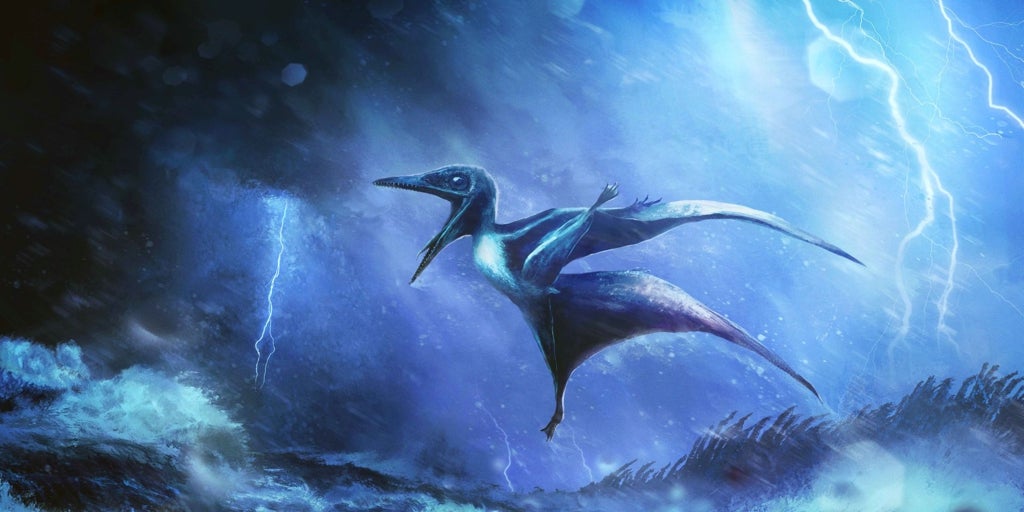 La increíble historia de las crías de pterosaurio derribadas por tormentas