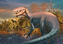 Joaquinraptor:  el dinosaurio de mil kilos devorador de cocodrilos que dominó la Patagonia