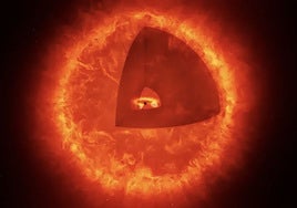 Estrellas de agujero negro: el James Webb descubre una nueva clase de objetos cósmicos