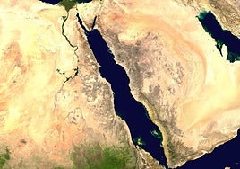 El Mar Rojo 'murió y resucitó' en un tiempo récord tras uno de los eventos ambientales más extremos de la Tierra