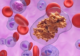 El hongo hallado en el suelo de las montañas de Noruega que permitió uno de los mayores avances médicos