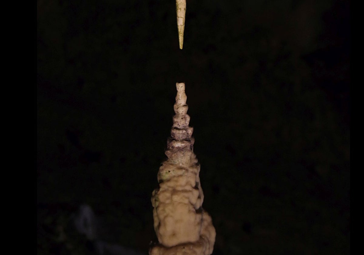 Un par de estalactitas-estalagmitas de las cuevas de Punkva, Chequia