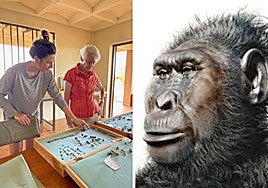 El hallazgo de una mano sugiere que el robusto 'Hombre cascanueces' fabricaba herramientas hace 1,5 millones de años