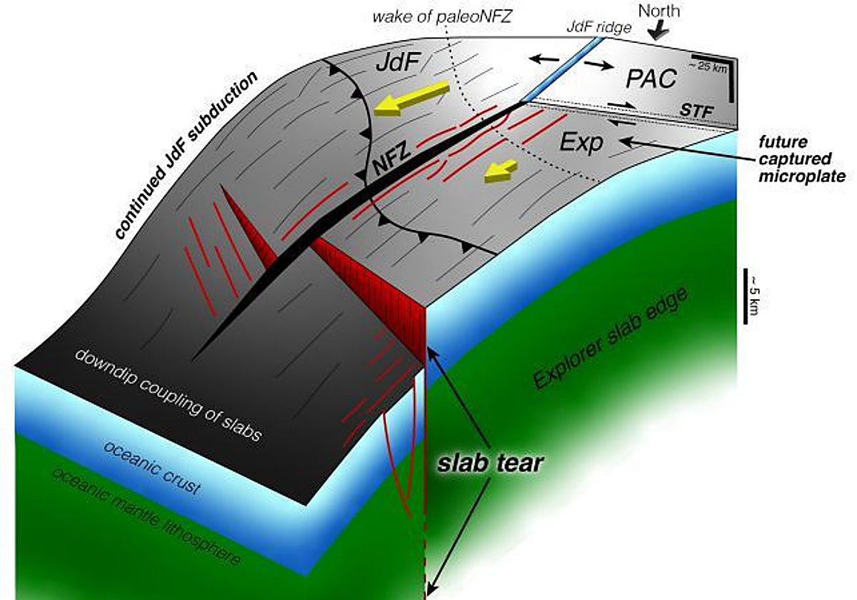 Diagrama de los procesos recién descubiertos en la zona de subducción de Cascadia, frente a las costas pacíficas de Norteamérica