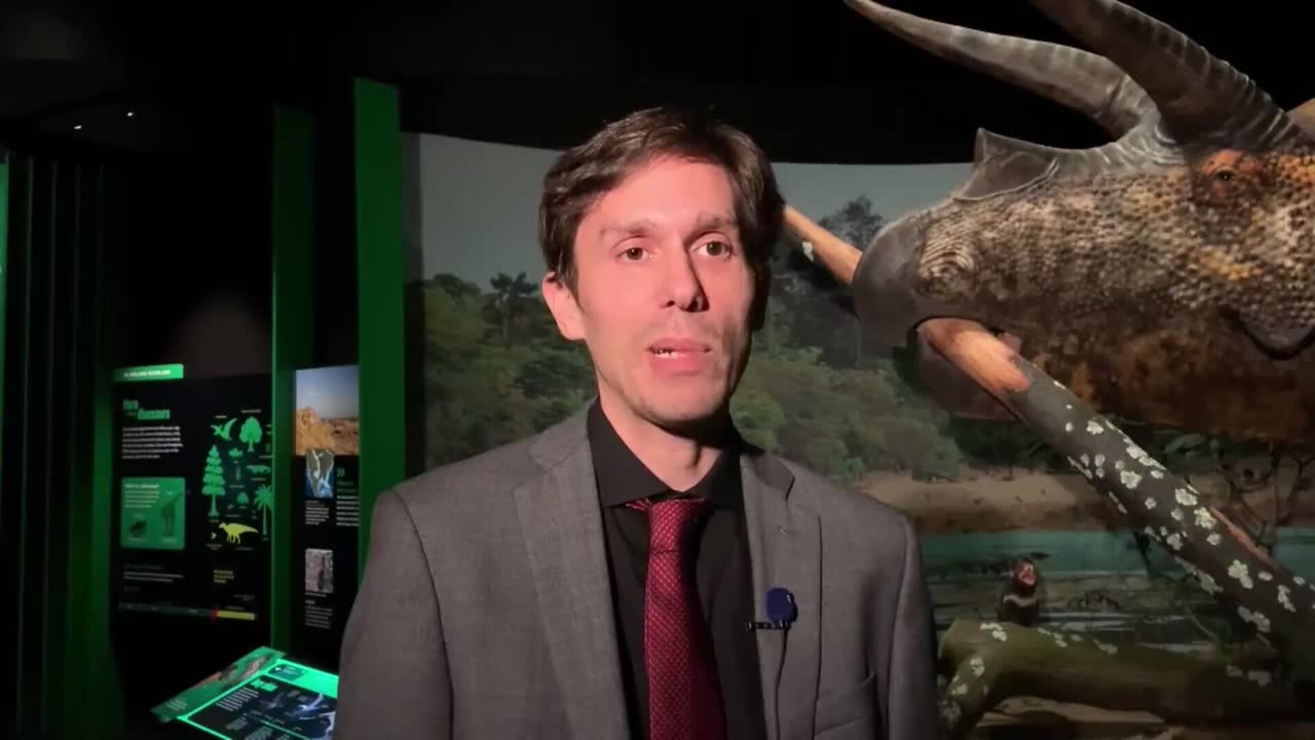 Impacto: la exposición sobre el meteorito que extinguió los dinosaurios llega a Nueva York