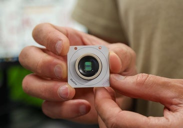 Descubren que el cerebro humano está 'programado' con instrucciones para comprender el mundo