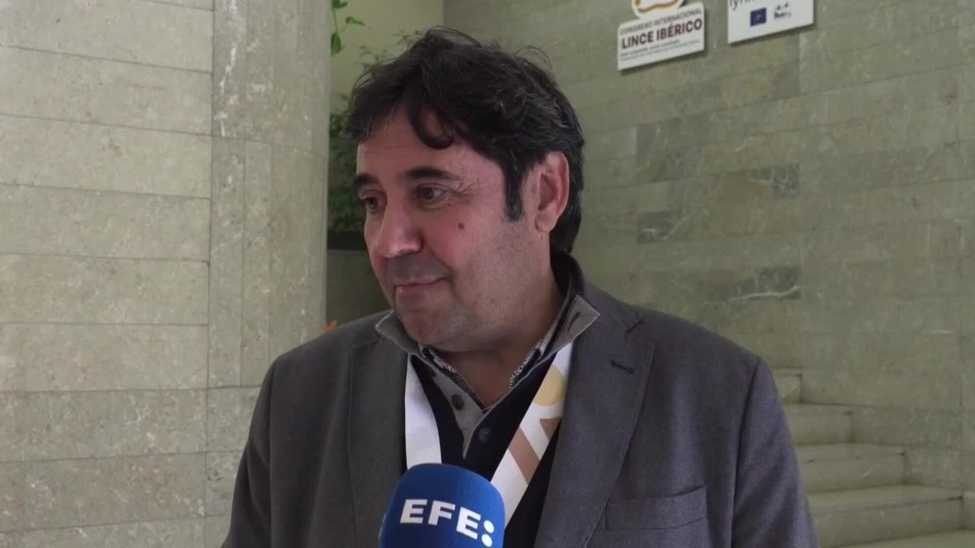 El 60% de los linces viven en zonas humanizadas, lo que reporta mayores riesgos