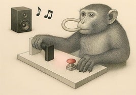 Un experimento con dos monos que se mueven al ritmo de Barry White arroja luz sobre los orígenes del baile
