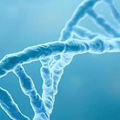 Una nueva teoría para la vida: algunos de sus ingredientes 'llovieron' directamente del cielo