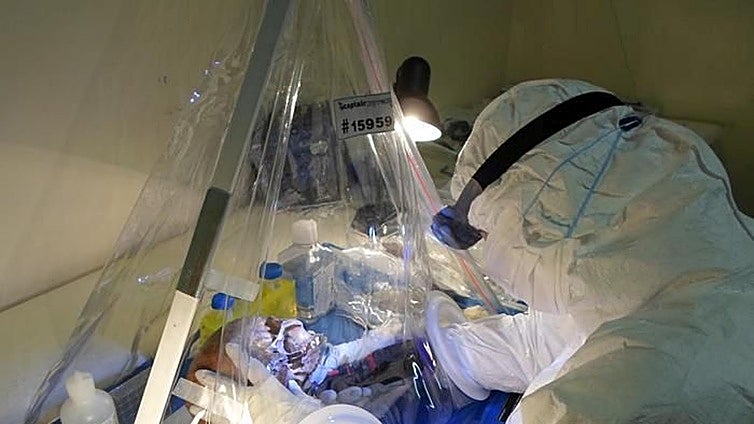 Sudáfrica, la 'cuna olvidada': hallan el ADN que cambió la historia de la Humanidad