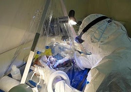 Sudáfrica, la 'cuna olvidada': hallan el ADN que cambió la historia de la Humanidad