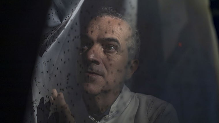 Luciano Moreira, Especialista em Saúde Pública