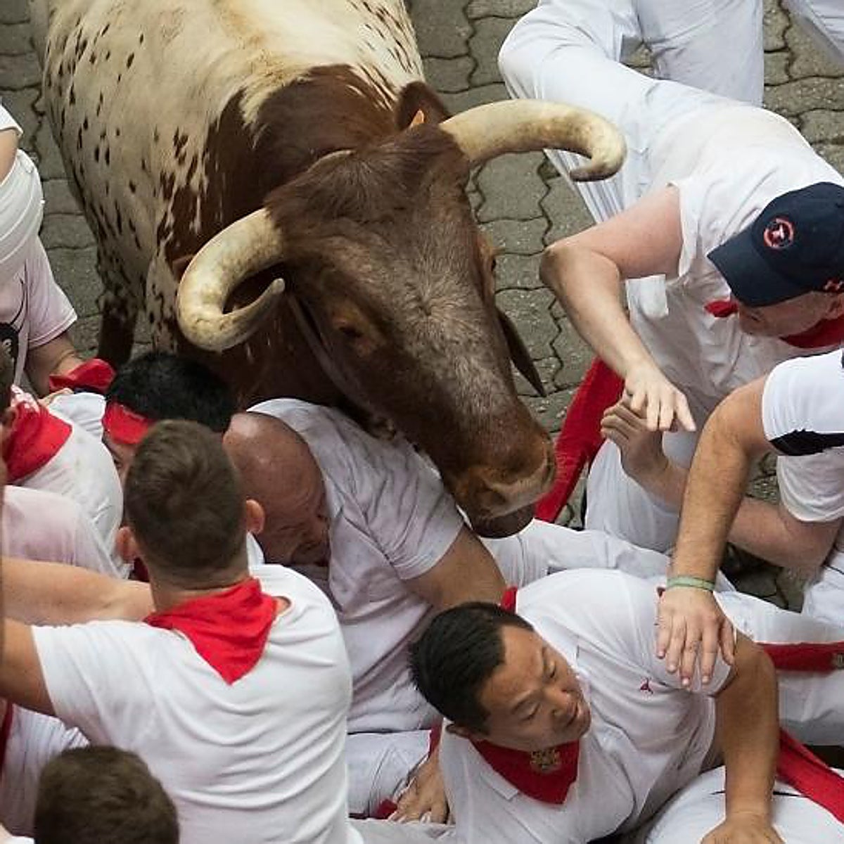 Adiós a Messi y a Ronaldo: llegan los nuevos cabestros de San Fermín rodeados de polémica