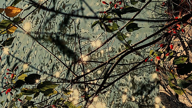 Las exposiciones imprescindibles del &#039;Off&#039; de PhotoEspaña