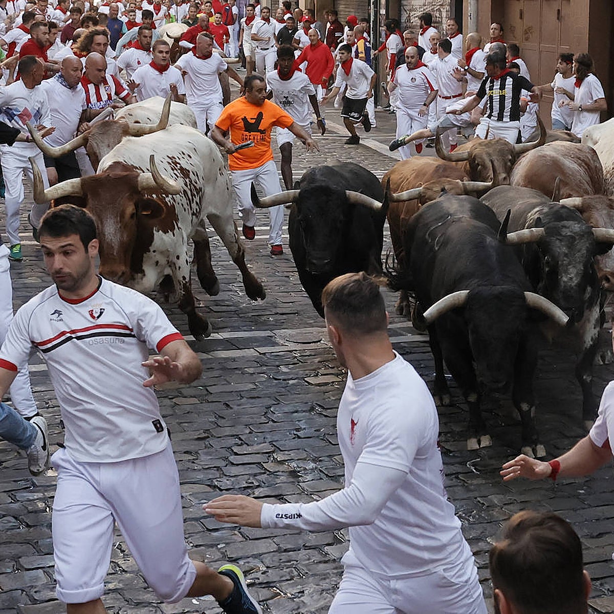 Los toros de la Palmosilla protagonizan un encierro rápido y limpio