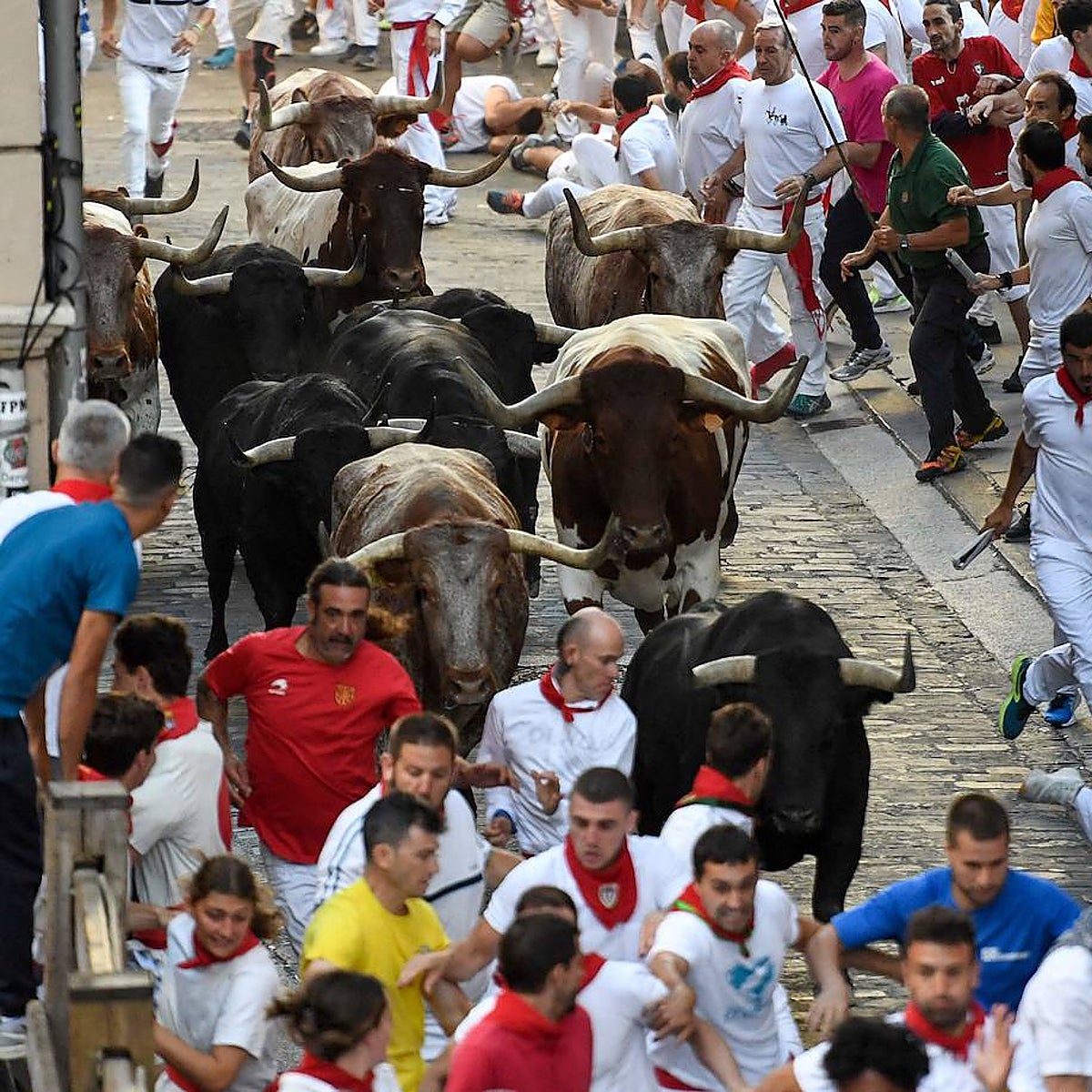 Los Victoriano del Río dejan el encierro más rápido de estos sanfermines