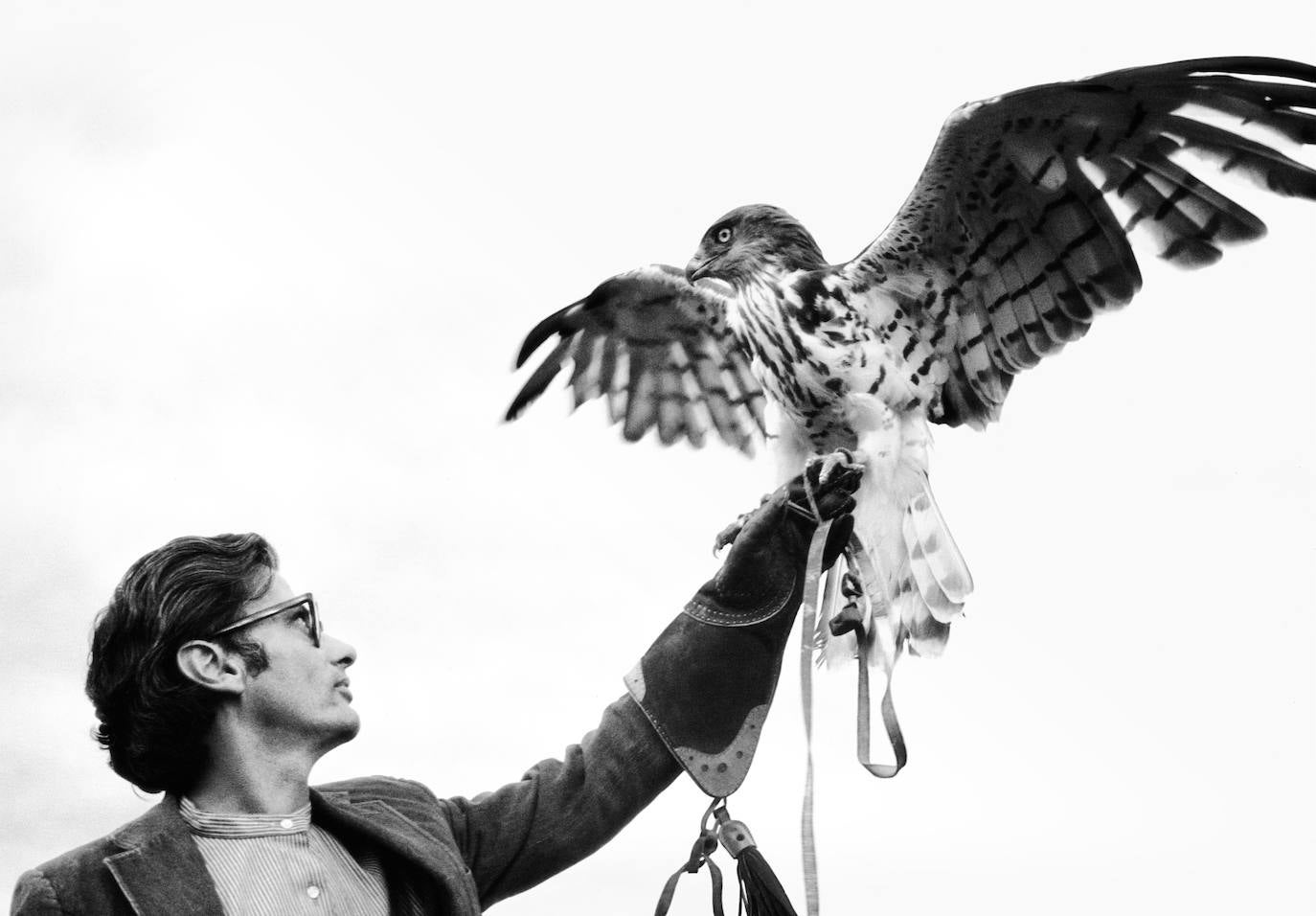 Avedon posa con un águila durante una sesión en Irlanda en 1969