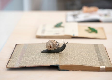 Imagen secundaria 1 - Arriba, Calvo revisa uno de los muebles instalados en el IVAM. Sobre estas líneas, detalle de sus libros intervenidos y su colección de postales