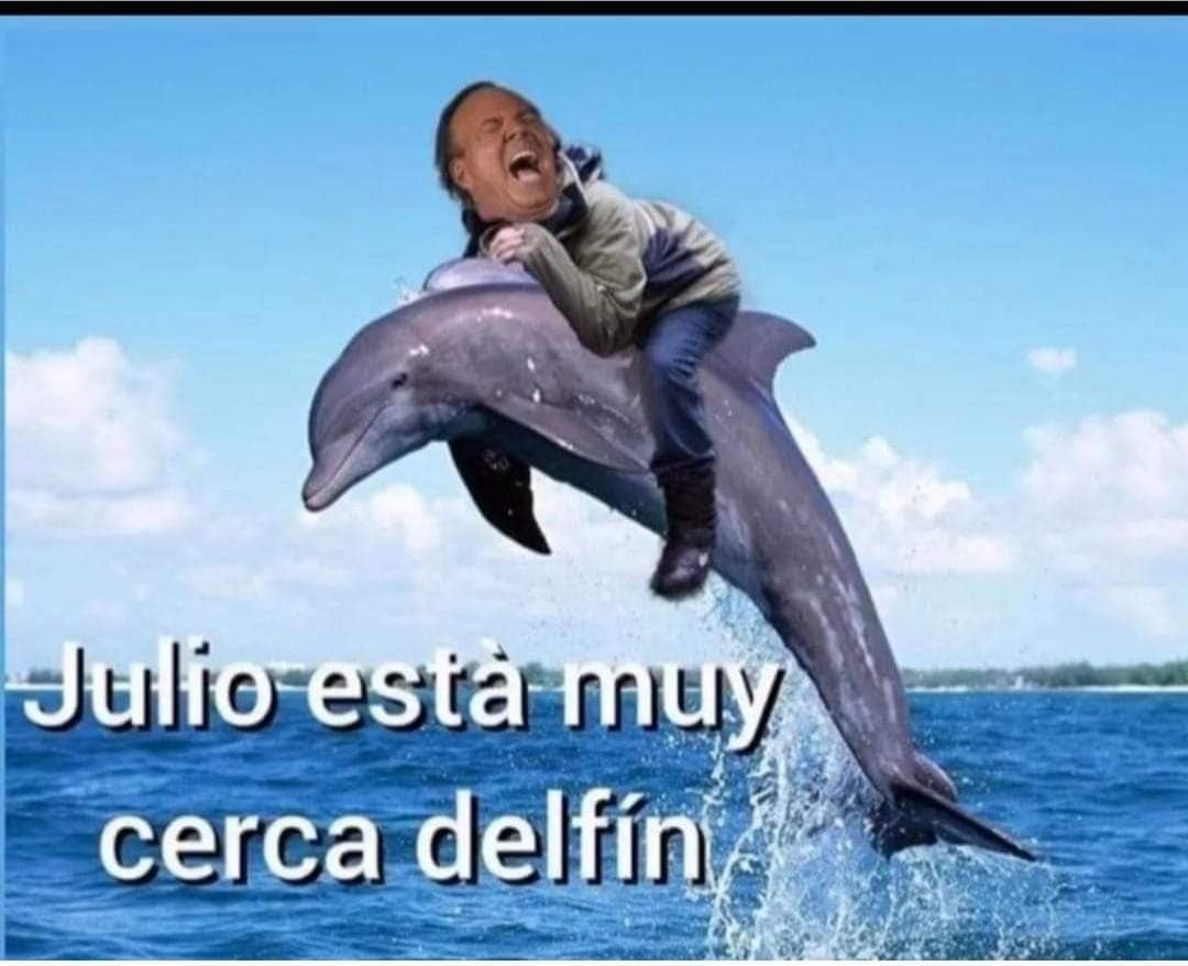 Julio está muy cerca delfín