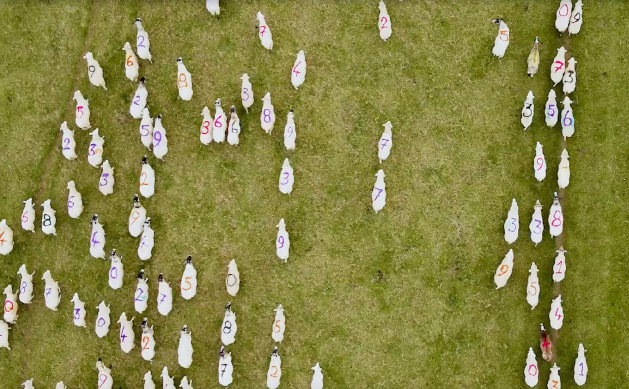 Alternative Random Number Generator the Sheep of Mr Charles Platts