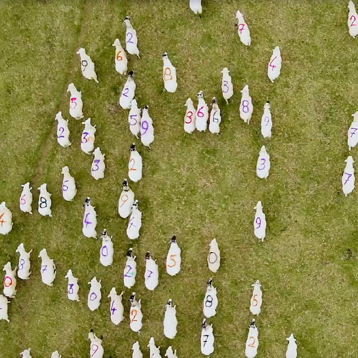 El Hay Festival Segovia calienta motores con Antony Beevor, Ai Weiwei y Miquel Barceló