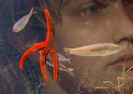 Imagen secundaria 1 - Tres creadoras incontestables: Isabel Muñoz (arriba), en Blanca Berlín; Laure Prouvost en Carlier Gebauer y Sandra Paula Fernández en PuxaGallery 