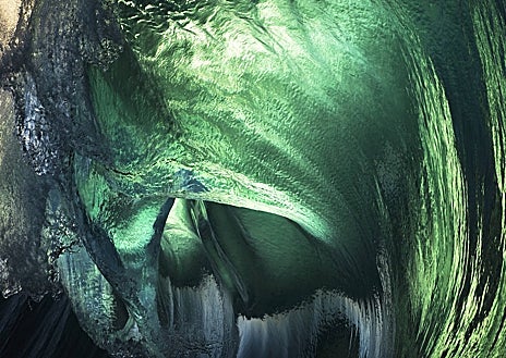 Imagen secundaria 1 - Arriba, 'Pi Negre', de Eva Miquel, en Altamira. Sobre estas líneas, 'Jade', de Ray Collins, y 'Mimen curiosea bajo la lluvia' (1959), de Gerardo Vielba