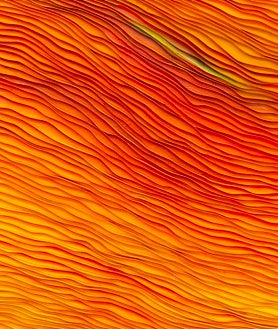 Imagen secundaria 2 - Sobre estas líneas, dos personas observan una obra de Javier Bravo de Rueda en Jorge López, y 'El pliegue y el límite', de Vicente Gómez, en Alba Carrera. Arriba, un hombre repara en una de las piezas de Diego del Pozo en House of Chappaz