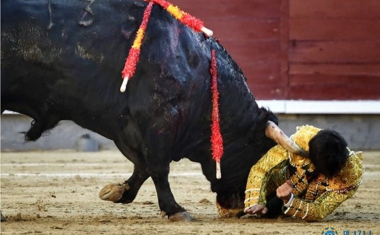 De la boda en Manuel Becerra a Taconero antes de la cogida de Alarcón en Las Ventas