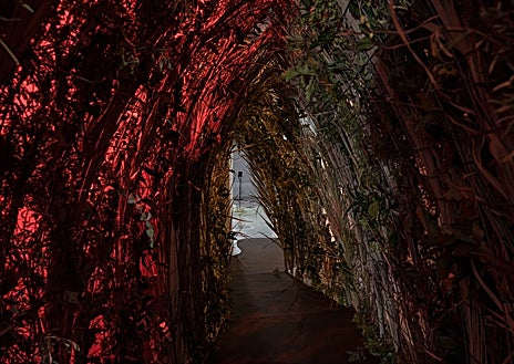 Imagen secundaria 1 - En la imagen, algunas de las instalaciones inmersivas de Prouvost en La Casa Encendida