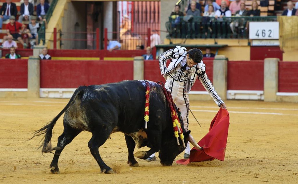 José Garrido