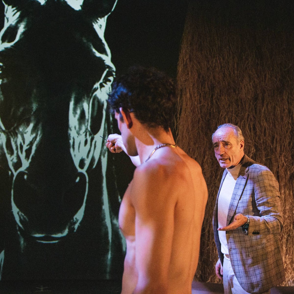 'Equus': caleidoscopio psicológico