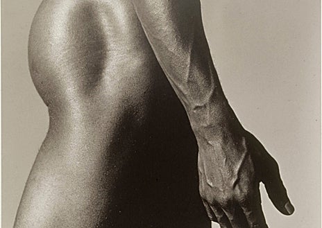 Imagen secundaria 1 - Arriba, 'Viena. La vida en el Prater. Excluidos', de Mayer. Sobre estas líneas, 'Alistair Butler', de Mapplethorpe, y una obra anónima basada en la aplicación de la fotografía en sus inicios por la Botánica