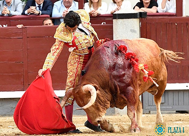 Con un toro de Alcurrucén en la Beneficencia