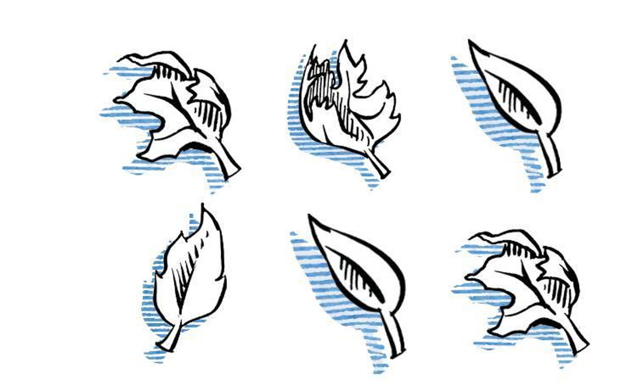 Vista de una chopera junto al río Ebro a su paso por Agoncillo marca los colores vivos del otoño, este miércoles