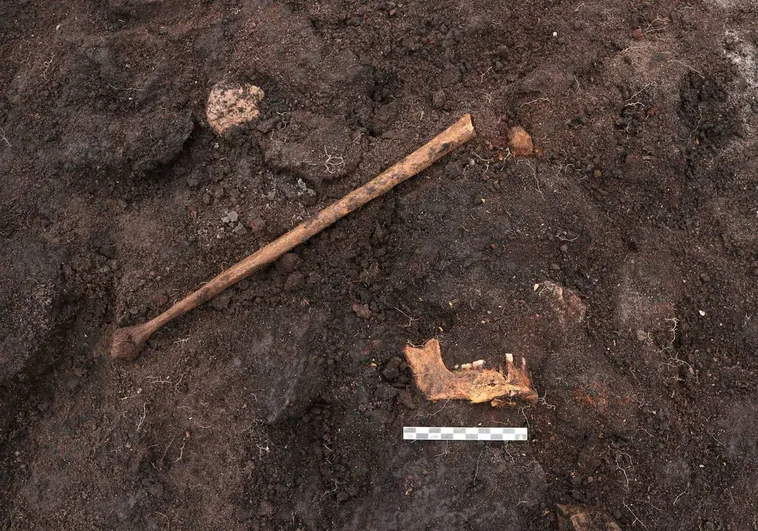 Hallan una momia del pantano de 5.000 años de antigüedad en una turba de Dinamarca
