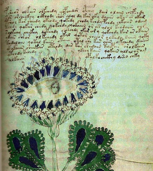 Descubren quién pudo vender el misterioso manuscrito Voynich al emperador Rodolfo II